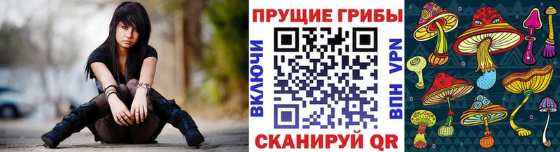 Псилоцибиновые грибы GOLDEN TEACHER  Губкинский 
