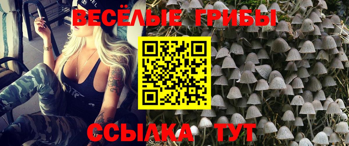 Губкинский  Галлюциногенные грибы прущие грибы  Вход с VPN 