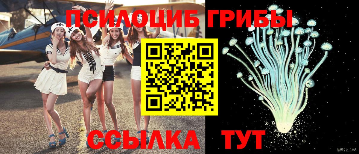 Галлюциногенные грибы GOLDEN TEACHER Губкинский